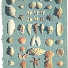 제목은ocean이고그냥잠시올린거랍니다