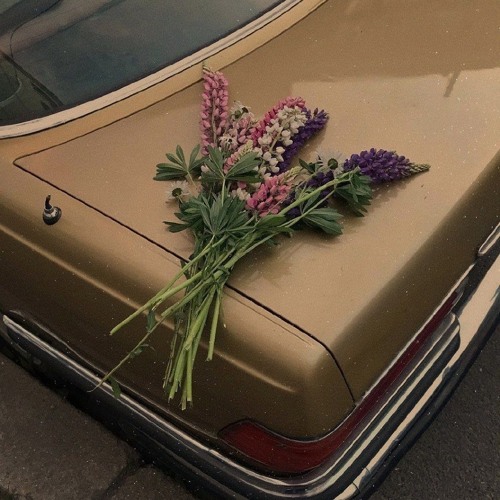 Chờ Anh Nhé -  ( HPBD AnhTu )