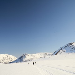 Tromsø