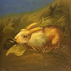 Someday (This Old Cat).mp3