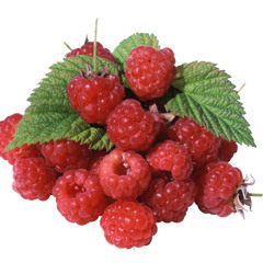 berries (ягоды) w/ me