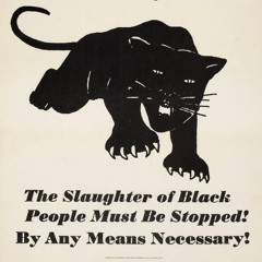 What Black Men Should Learn from the Black Panther Party from 2023 Panel