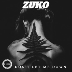 Zuko - Don't Let Me Down