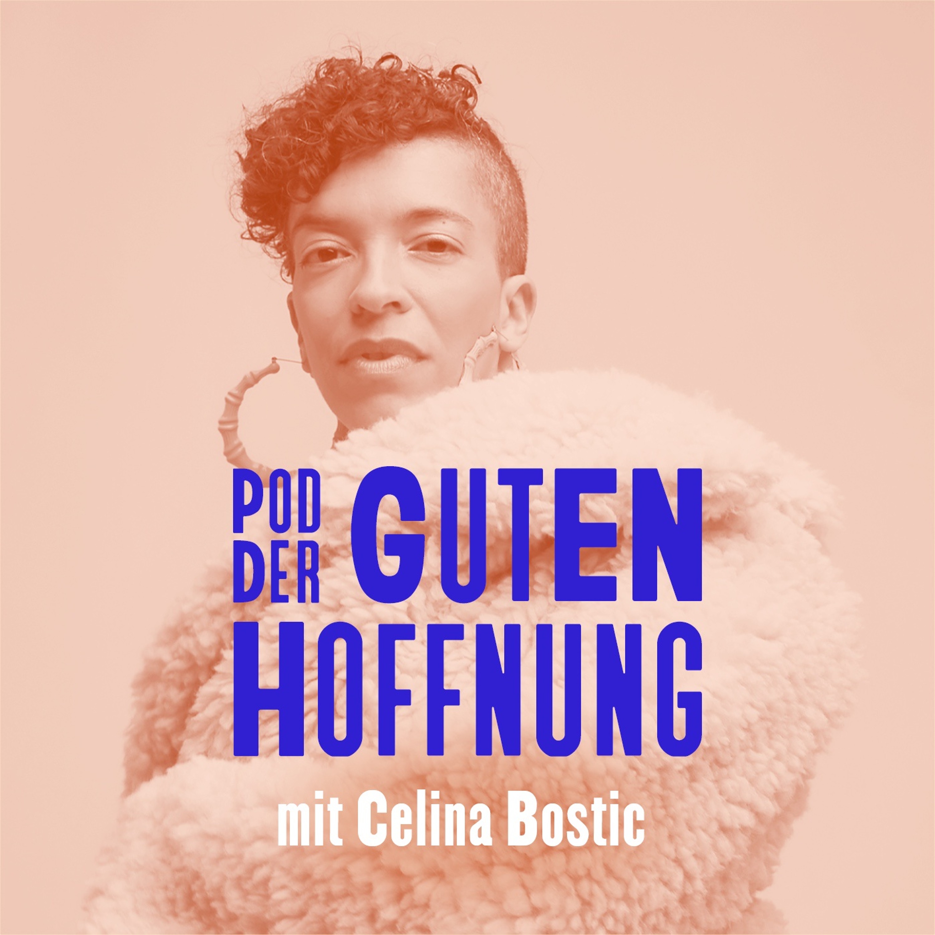 Alle Podcasts und Audiofiles der Heinrich-Böll-Stiftung