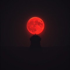 Total Eclipse