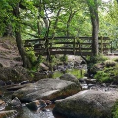 Longshaw-clarinet choir