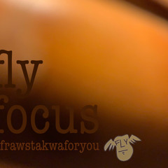 fly focus...
