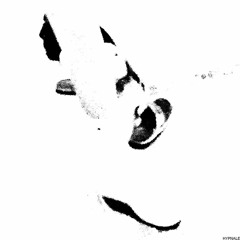 White |Rominimal / Rominimal / Microhouse|