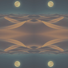 Moonlit Veil [Voile au Clair de Lune]