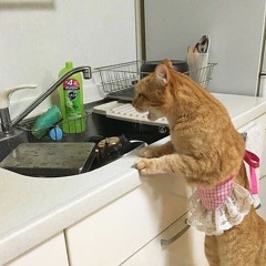 everyone left - puzzle (slowed down)