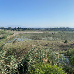 Akrotiri Marsh 02