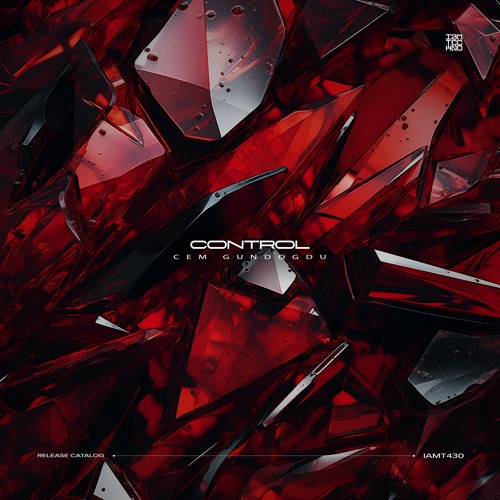 IAMT430: Cem Gundogdu - Control