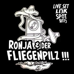 Ronja & Der Fliegenpilz  /  This is my new live set for Friday
