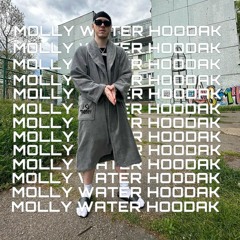 Molly Water Hoodak (mashup acji, nmnvndl, ugly nick x big baby tape)