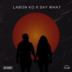Labon Ko x Say What - Dj Shubz ( Flitered due to copyright )