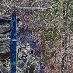 Igobass - Mushroom Hunter Live 2020