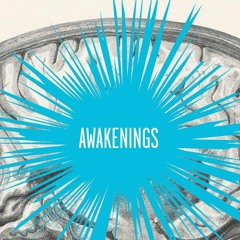 [PDF READ ONLINE] Awakenings