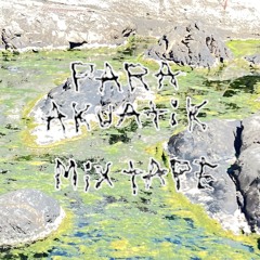 PARA AKUATIK MIXTAPE