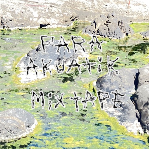 PARA AKUATIK MIXTAPE