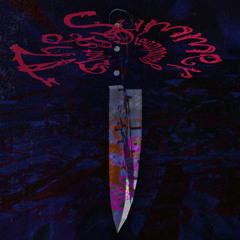 The Summer That I Disappeared