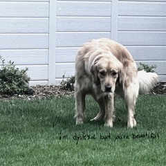 Imdyslexicbutyourebauetiful