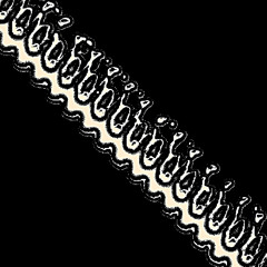 twelves