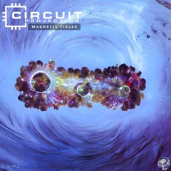 Circuit Projection - Magnetic Fields [MAR002]