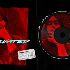 ELEVATED [ REMIX ]   SHUBH   ELEVATED