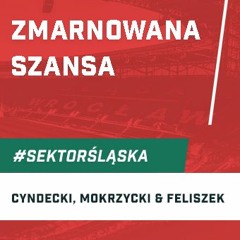 Zmarnowana szansa (podcast Sektor Śląska, odc. 116)