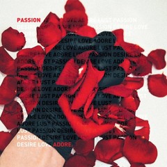 Passion (Michael Klein Remix)