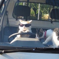 IthinkIdontlikeanymore