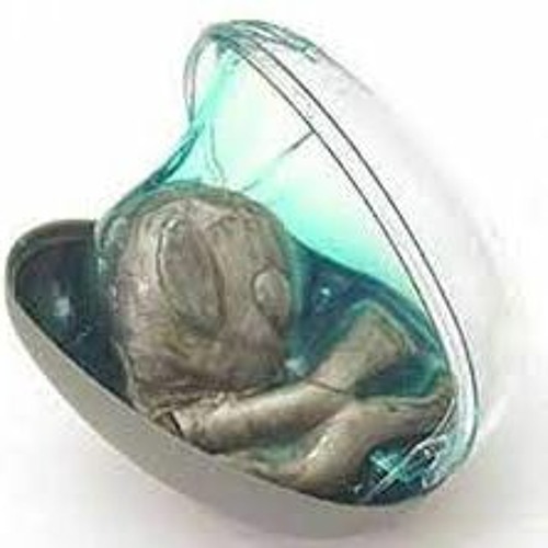 akk (demo unfinished snippet)