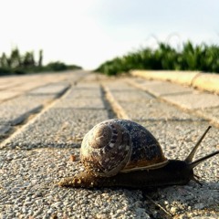 Slow Down Mantra Song (Original)