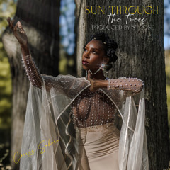 Sun Through The Trees