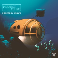 Perfect Plush - Somebody Knows - s0580