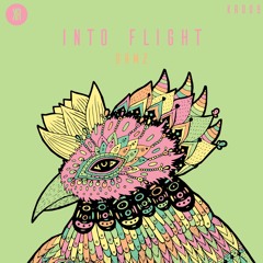 DRMZ - Into Flight (Original Mix)[KR009]