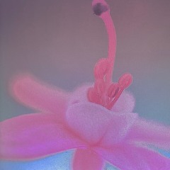 𝄑Project_3.mp3𝄑
