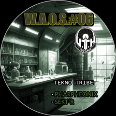 SEKT-R - Ca Mouille [WAOS#06 - UTH Records]