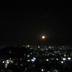 blue moon