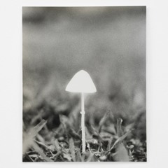 Suspended vapors