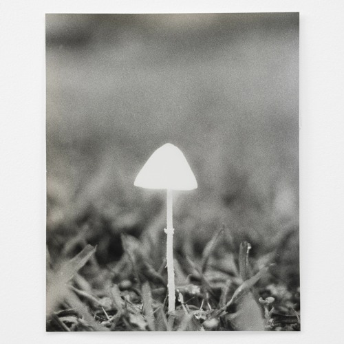 Suspended vapors