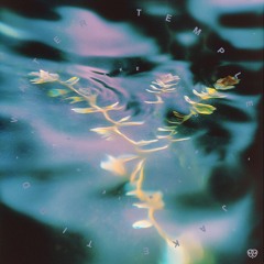 NEW HIT: Jake Tidd - Darkslide [Common Ancestors]