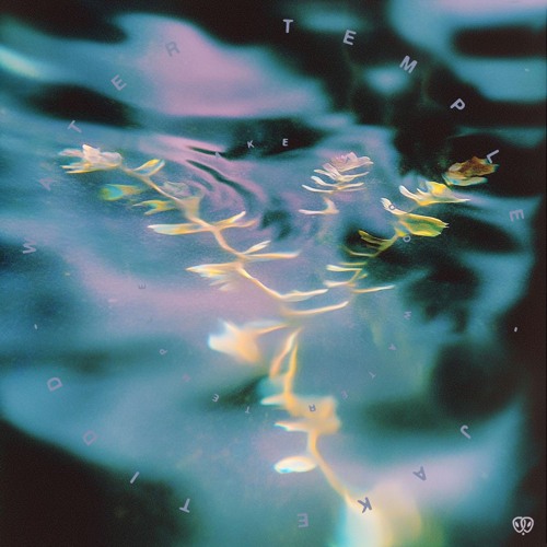 NEW HIT: Jake Tidd - Darkslide [Common Ancestors]