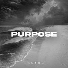 HansumBaby - Purpose