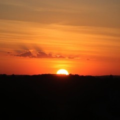 Sunny Day (Free download)