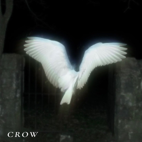 Fatal Sorrow