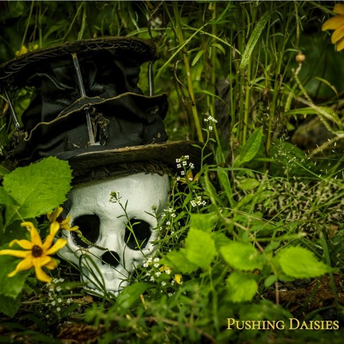 Combstead & N.o.b.S.  - Pushing Daisies