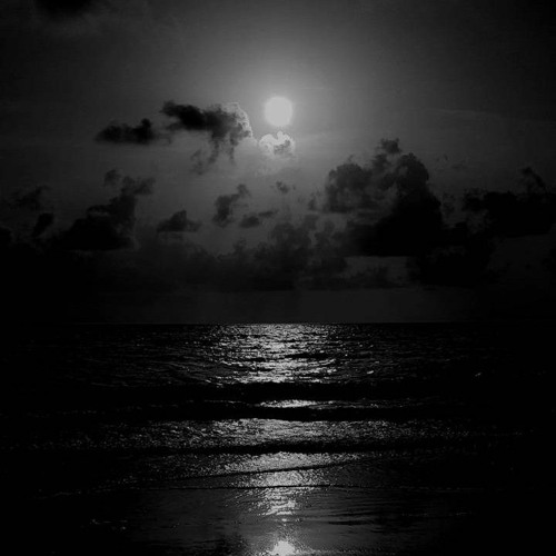 تامر عاشور ميدلي.. 🖤
