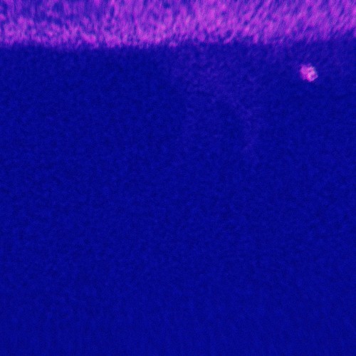 Stream elevator pitch by dizzy Listen online for free on SoundCloud