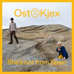She's Not From Spain (feat. Tracee Meyn)
